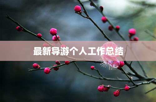 最新导游个人工作总结