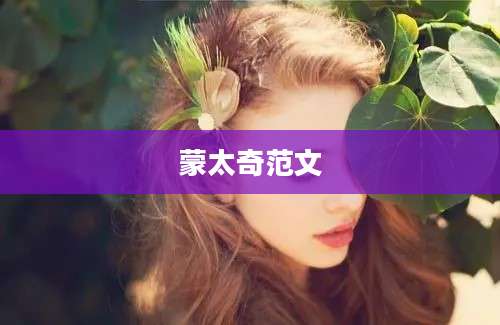 蒙太奇范文