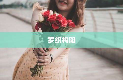 罗织构陷