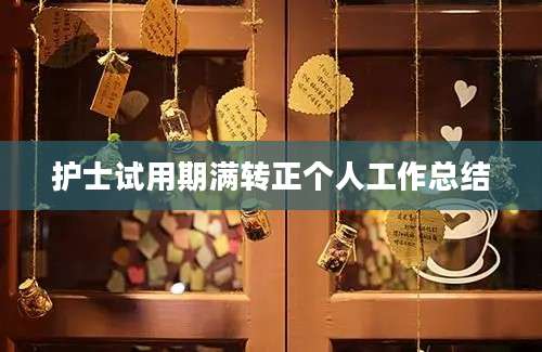 护士试用期满转正个人工作总结