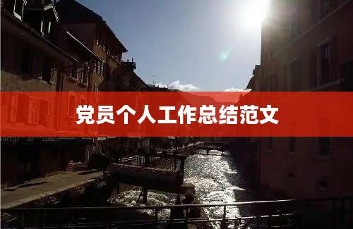 党员个人工作总结范文