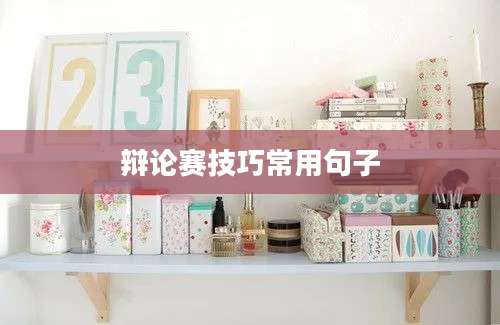 辩论赛技巧常用句子