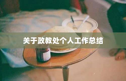 关于政教处个人工作总结