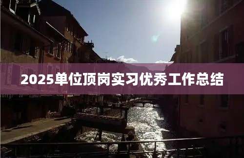 2025单位顶岗实习优秀工作总结