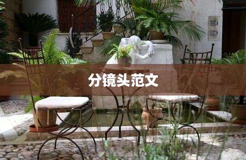 分镜头范文