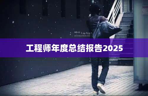 工程师年度总结报告2025