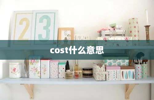 cost什么意思