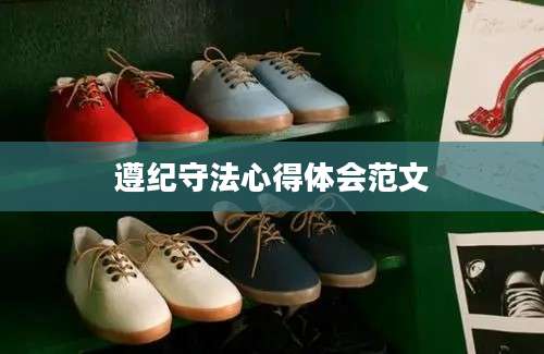 遵纪守法心得体会范文