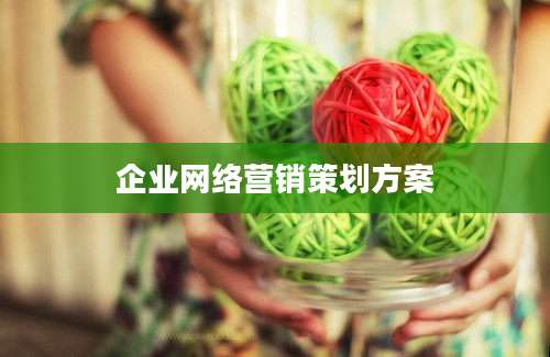 企业网络营销策划方案
