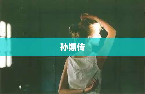 孙期传