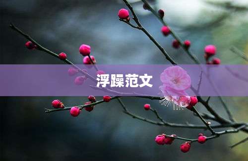浮躁范文