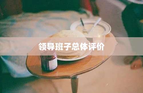 领导班子总体评价