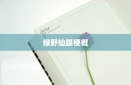 绿野仙踪梗概