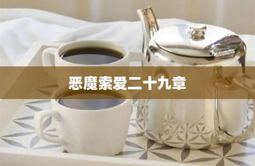 恶魔索爱二十九章