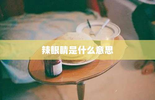 辣眼睛是什么意思