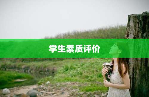 学生素质评价