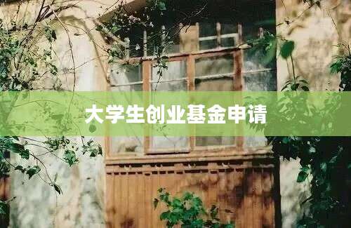 大学生创业基金申请
