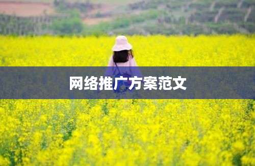 网络推广方案范文