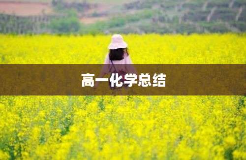 高一化学总结