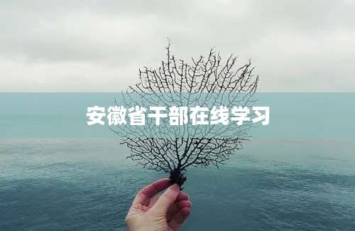 安徽省干部在线学习