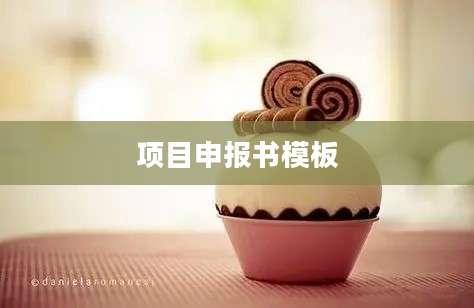 项目申报书模板