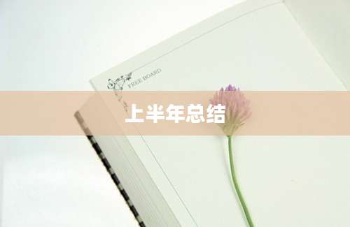 上半年总结