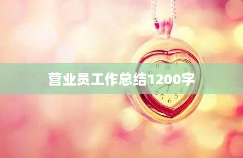 营业员工作总结1200字