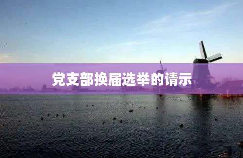 党支部换届选举的请示