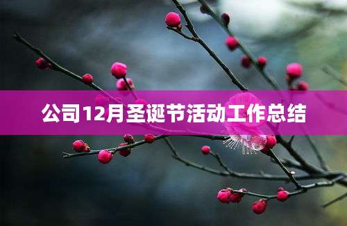公司12月圣诞节活动工作总结