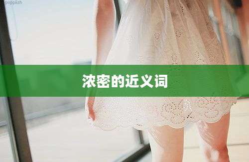 浓密的近义词