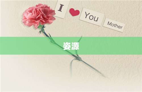 姿源