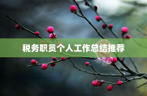 税务职员个人工作总结推荐