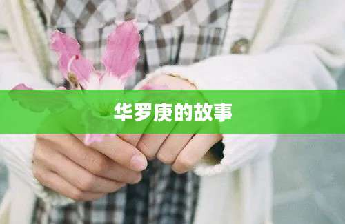 华罗庚的故事