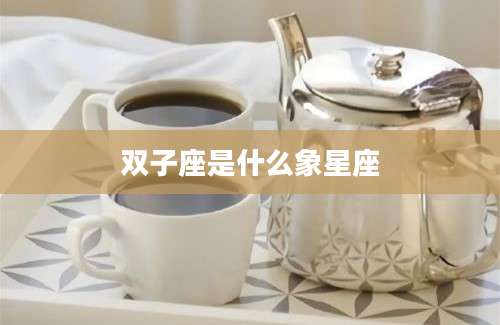 双子座是什么象星座