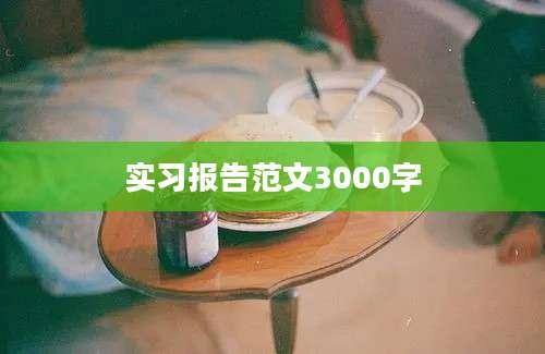 实习报告范文3000字