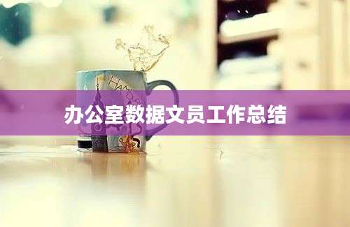办公室数据文员工作总结