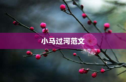 小马过河范文