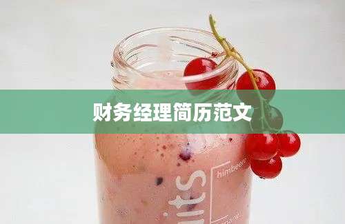 财务经理简历范文