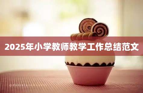 2025年小学教师教学工作总结范文