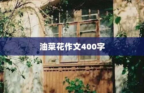 油菜花作文400字
