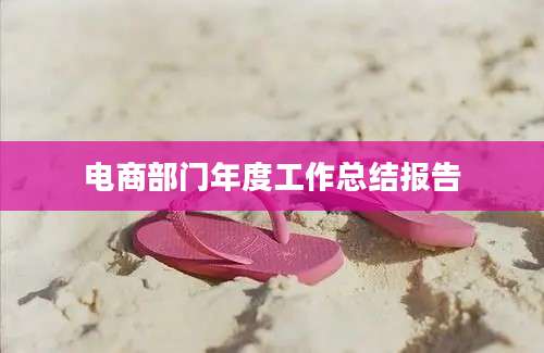 电商部门年度工作总结报告