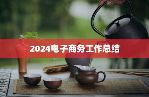 2024电子商务工作总结