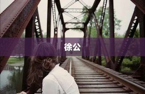 徐公