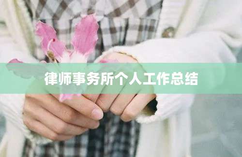 律师事务所个人工作总结