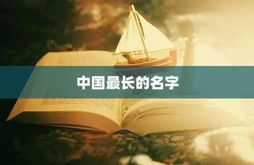 中国最长的名字