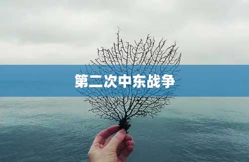 第二次中东战争