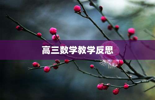 高三数学教学反思