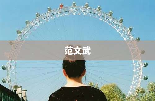 范文武