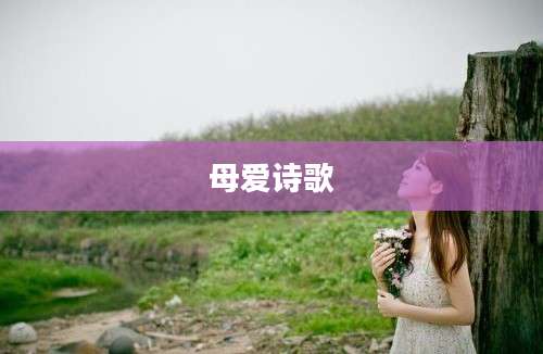 母爱诗歌