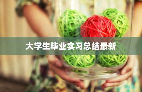 大学生毕业实习总结最新